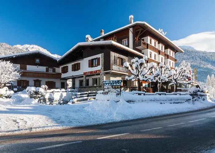 Hotel Edelweiss Con Ristorante Note Di Gusto Forni di Sopra